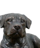 Bronze statue of a dog on a white background