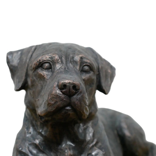 Bronze statue of a dog on a white background