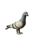 Realistic pigeon statue on a white background