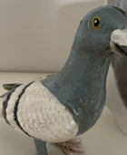 Statue of a pigeon on a plain background