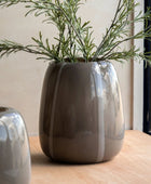 Brown ceramic pot with green plant on a wooden surface