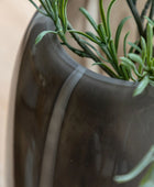 Close-up of a plant in a pot with a blurred background