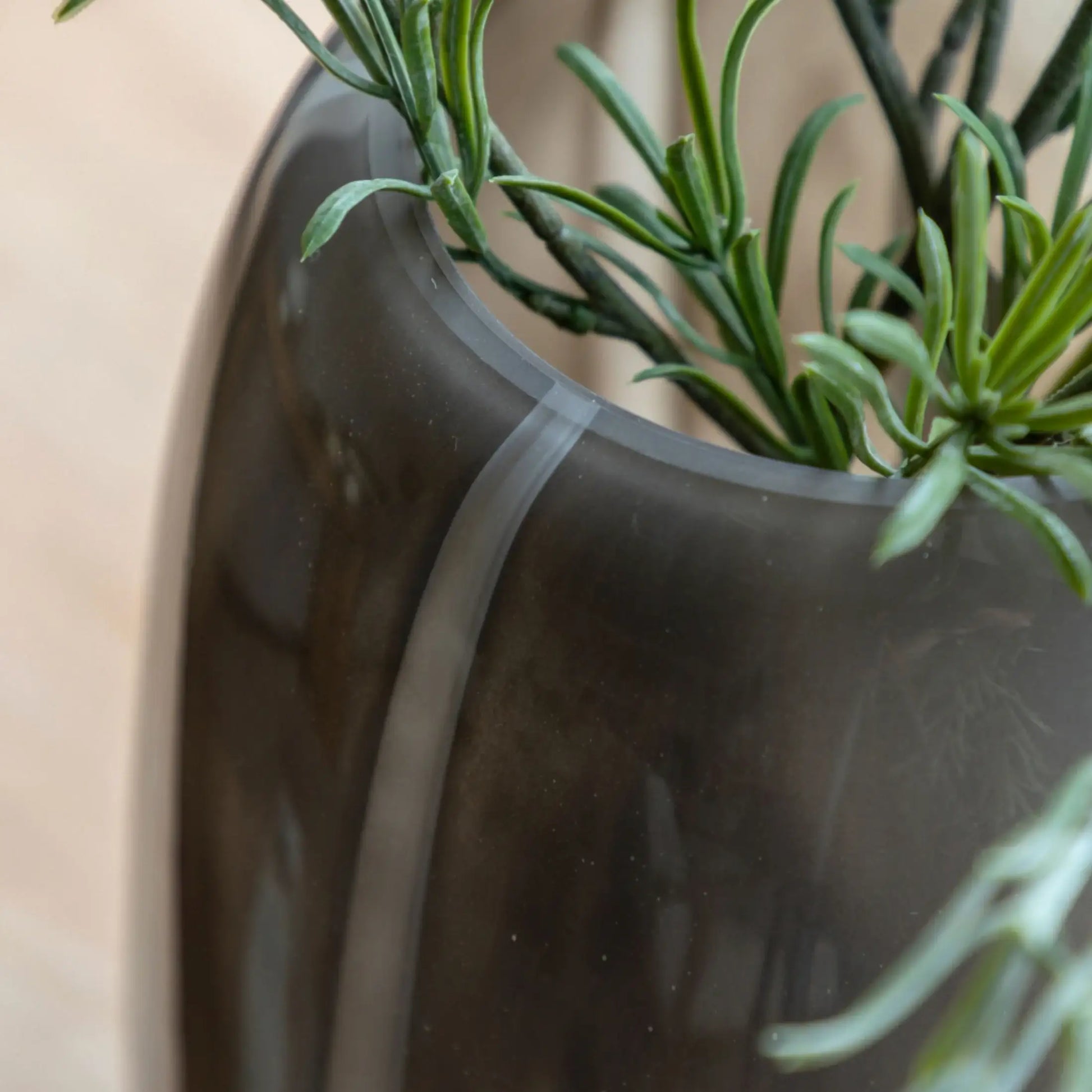 Close-up of a plant in a pot with a blurred background