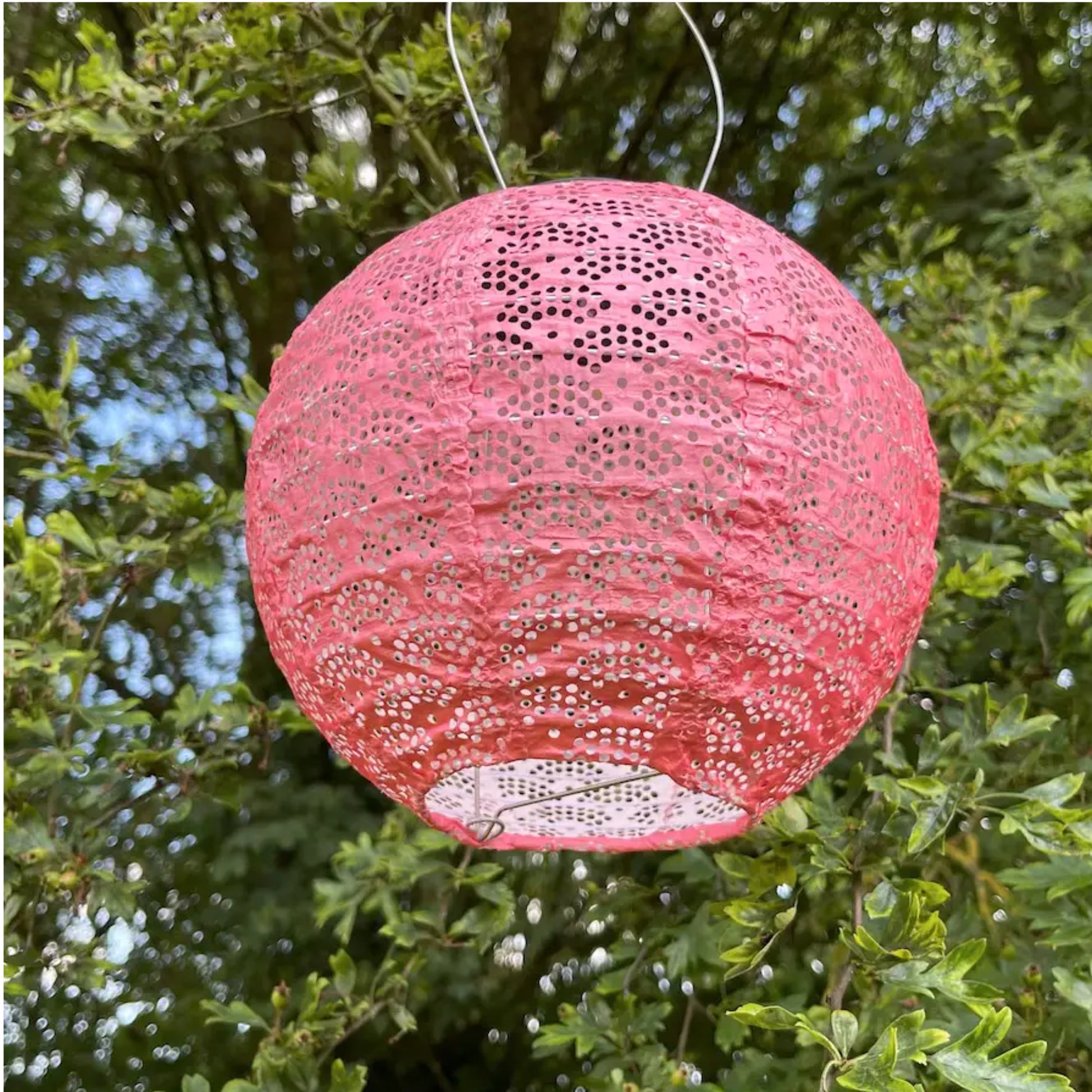 Pink lace lantern hanging among green trees