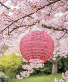 Pink paper lantern hanging from cherry blossom tree