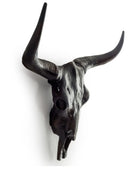Black bull skull with large horns on a white background