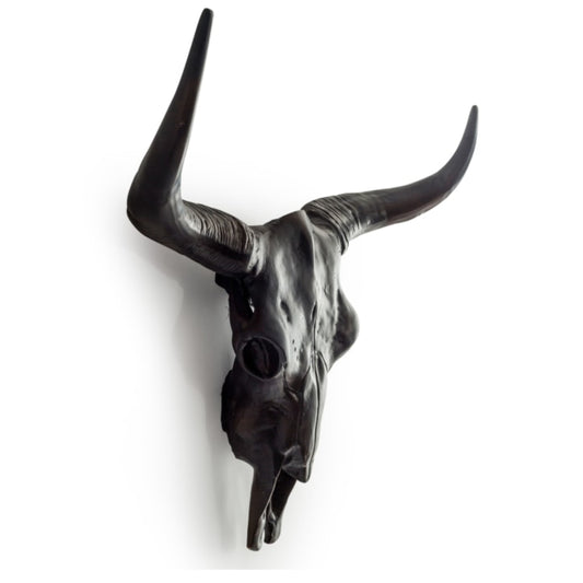 Black bull skull with large horns on a white background