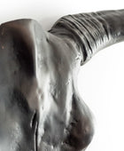Close-up of a bronze sculpture of a horse's head on a white background