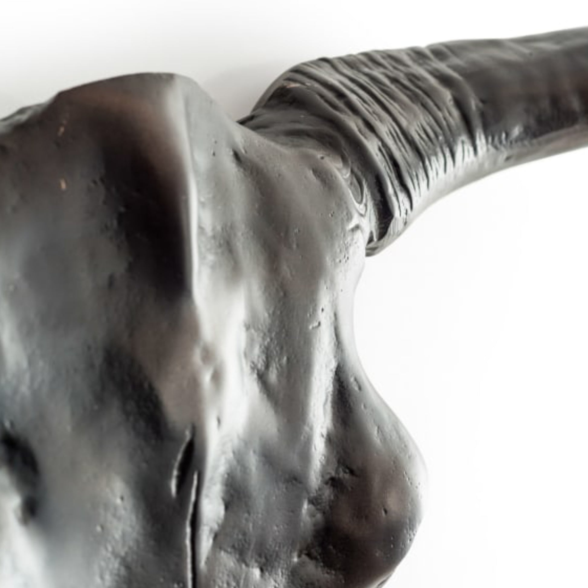Close-up of a bronze sculpture of a horse's head on a white background