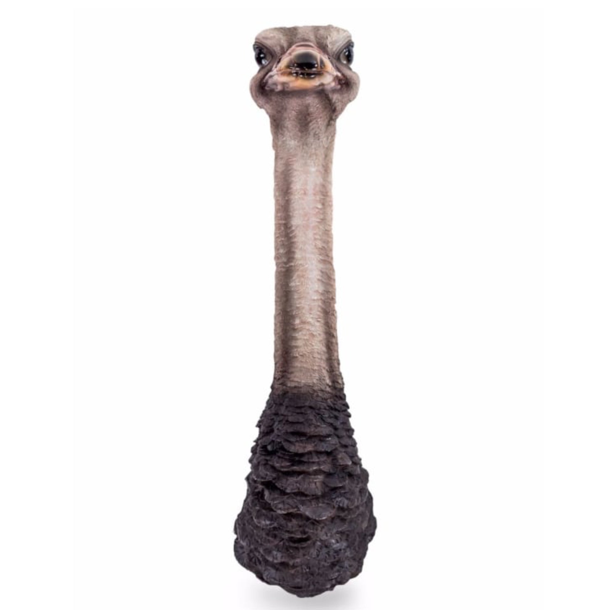 Stuffed toy resembling an ostrich on a white background