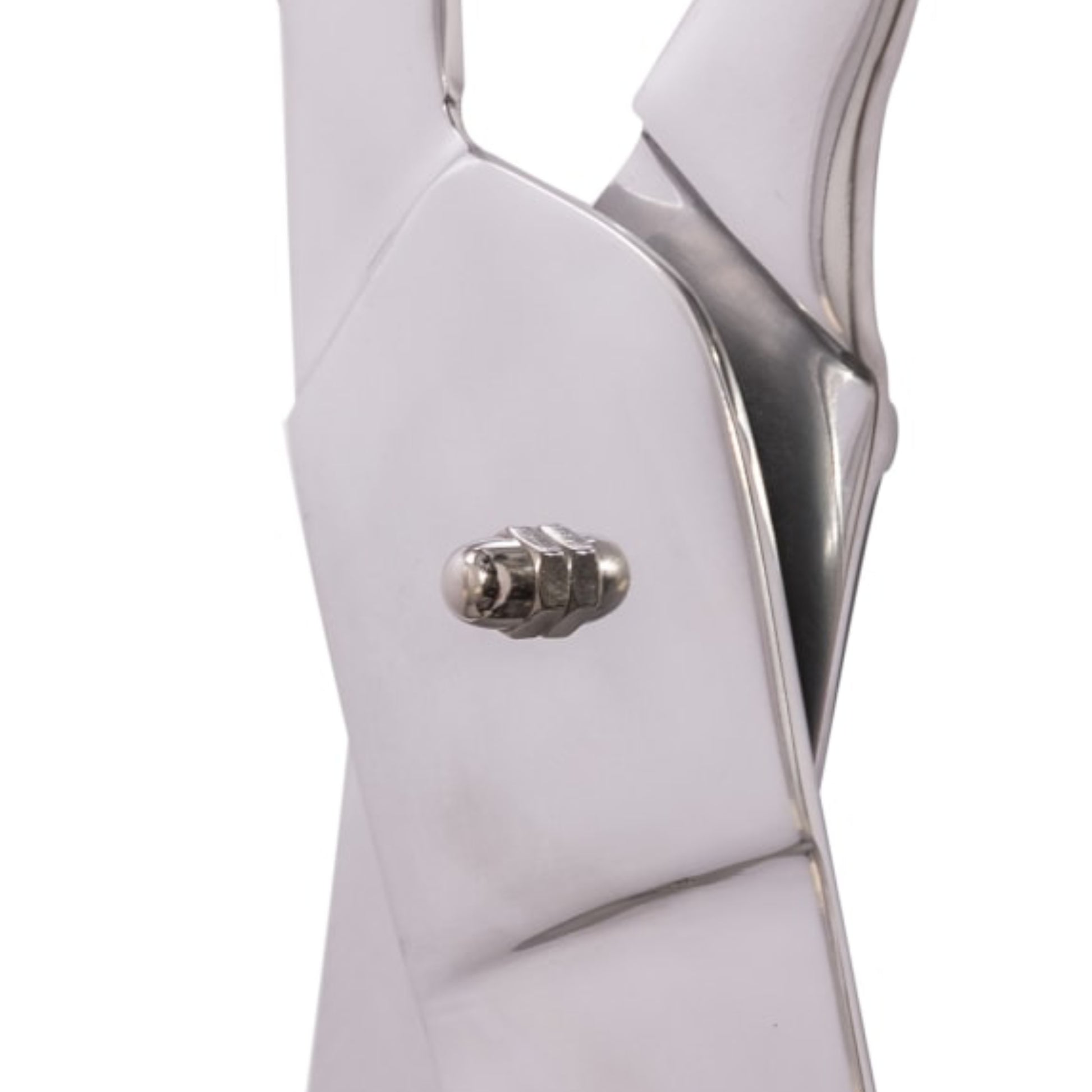 Close-up of a silver ring with a white band on a white background