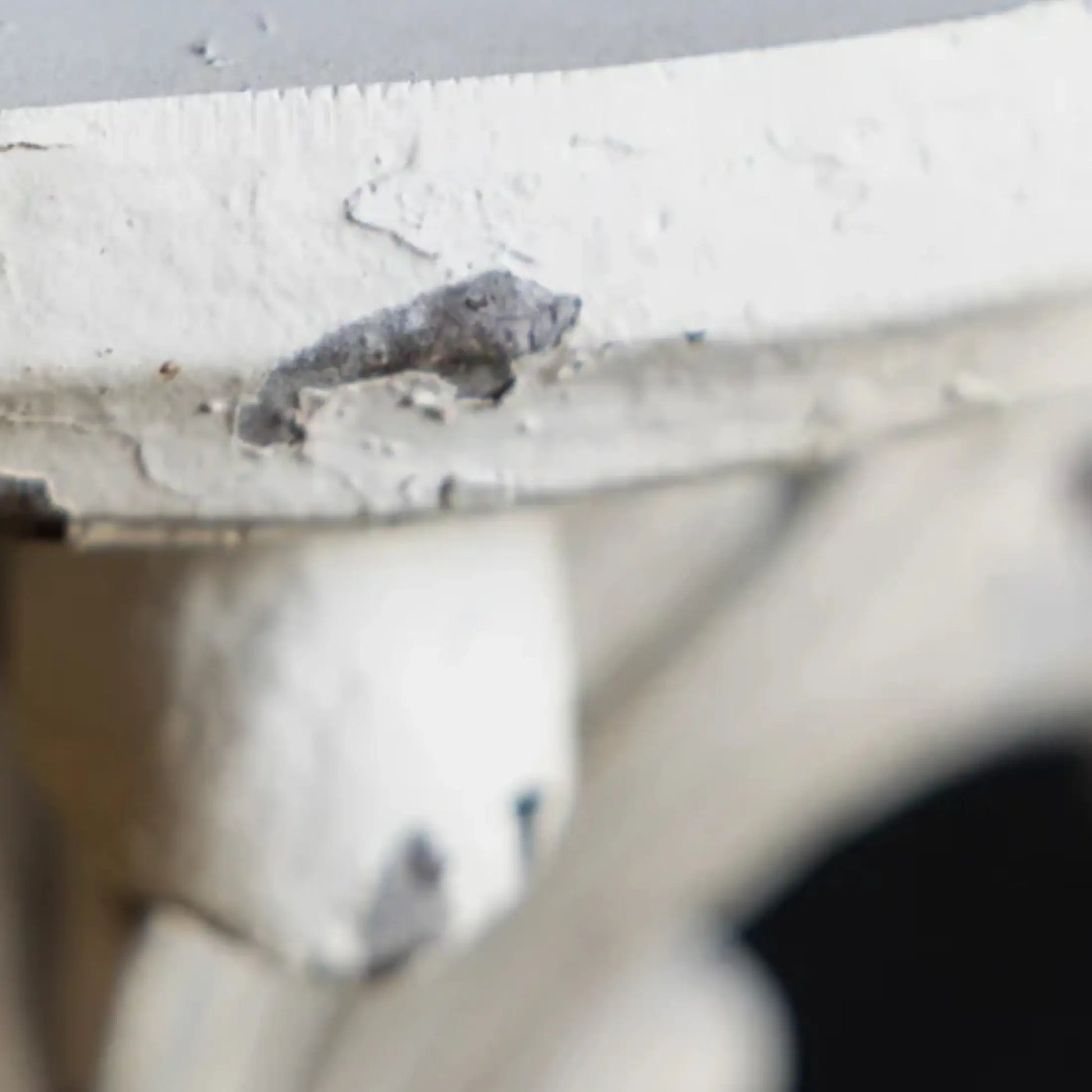 Distressed Acanthus Small Wall Shelf