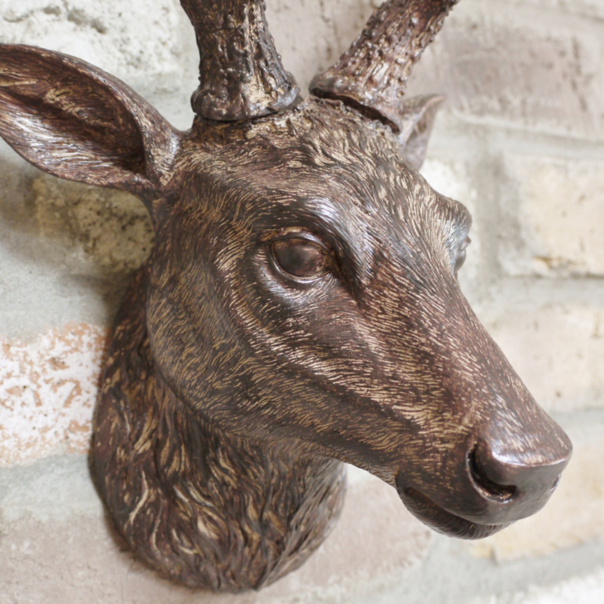 Bronze deer head sculpture on a textured wall