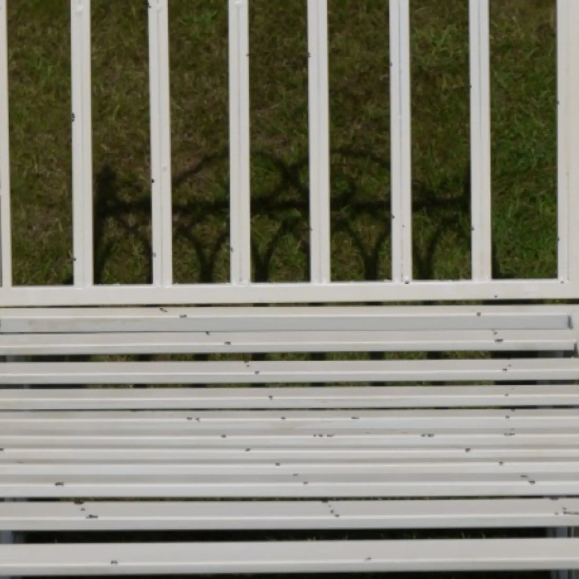 White metal bench with a grassy background