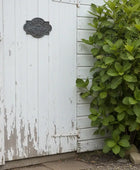 Green bush in front of a white wooden shed with peeling paint