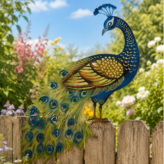 Elegant Peacock Silhouette