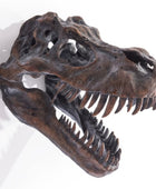 Dinosaur skull model on a white background