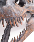 Close-up of a dinosaur skull with sharp teeth on a white background