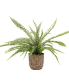 Faux Green Fern in Wicker Pot 1