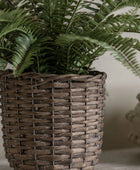 Faux Green Fern in Wicker Pot