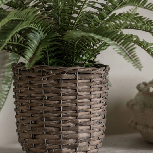 Faux Green Fern in Wicker Pot