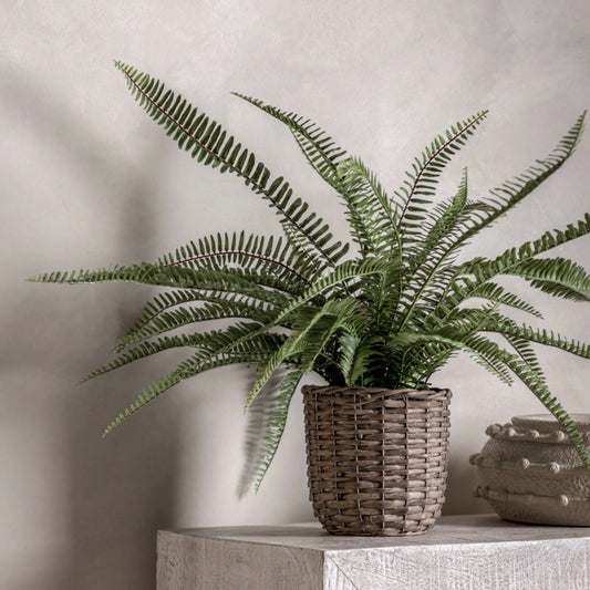 Faux Green Fern in Wicker Pot 5