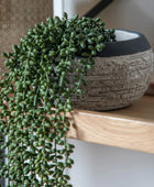 Faux Green String of Pearls in Artificial Soil Ball 1