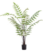 Faux Madagascar Fern Tree - The Farthing