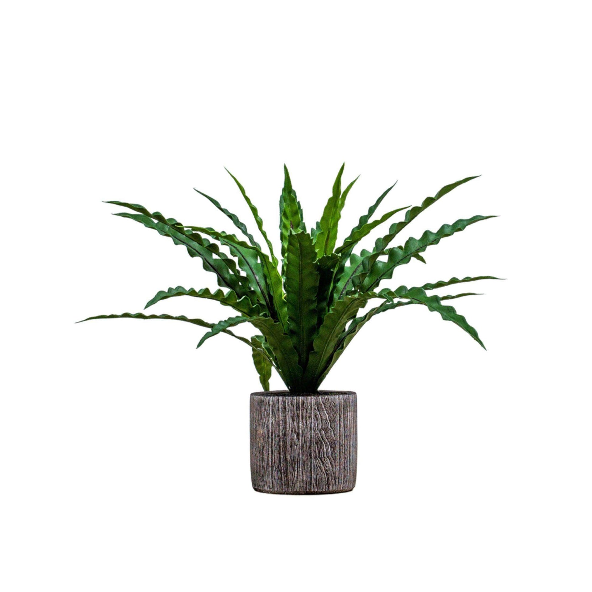 Faux Potted Asplenium Fern - The Farthing