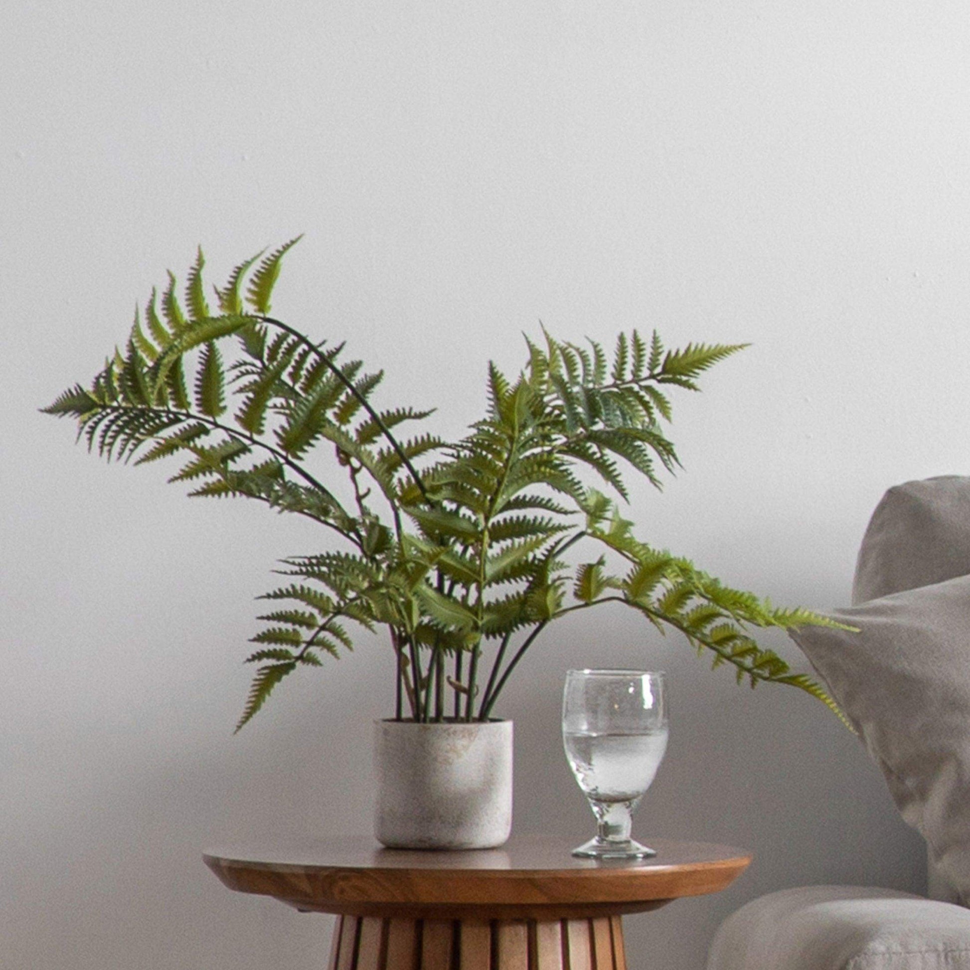 Faux Potted Fern Plant in Cement Pot - The Farthing