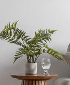 Faux Potted Fern Plant in Cement Pot - The Farthing