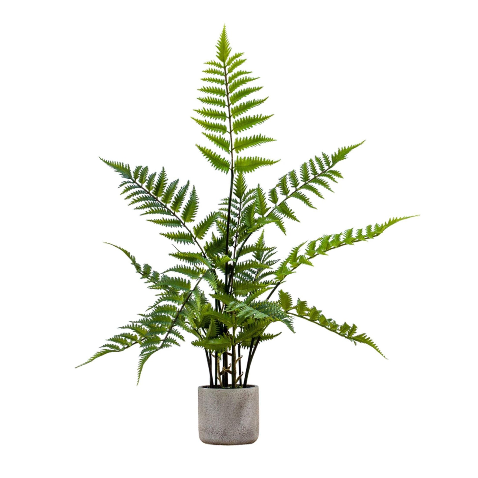 Faux Potted Fern Plant in Cement Pot - The Farthing