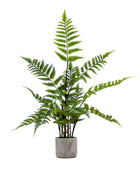 Faux Potted Fern Plant in Cement Pot - The Farthing