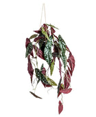 Hanging artificial plant with green and red leaves on a white background