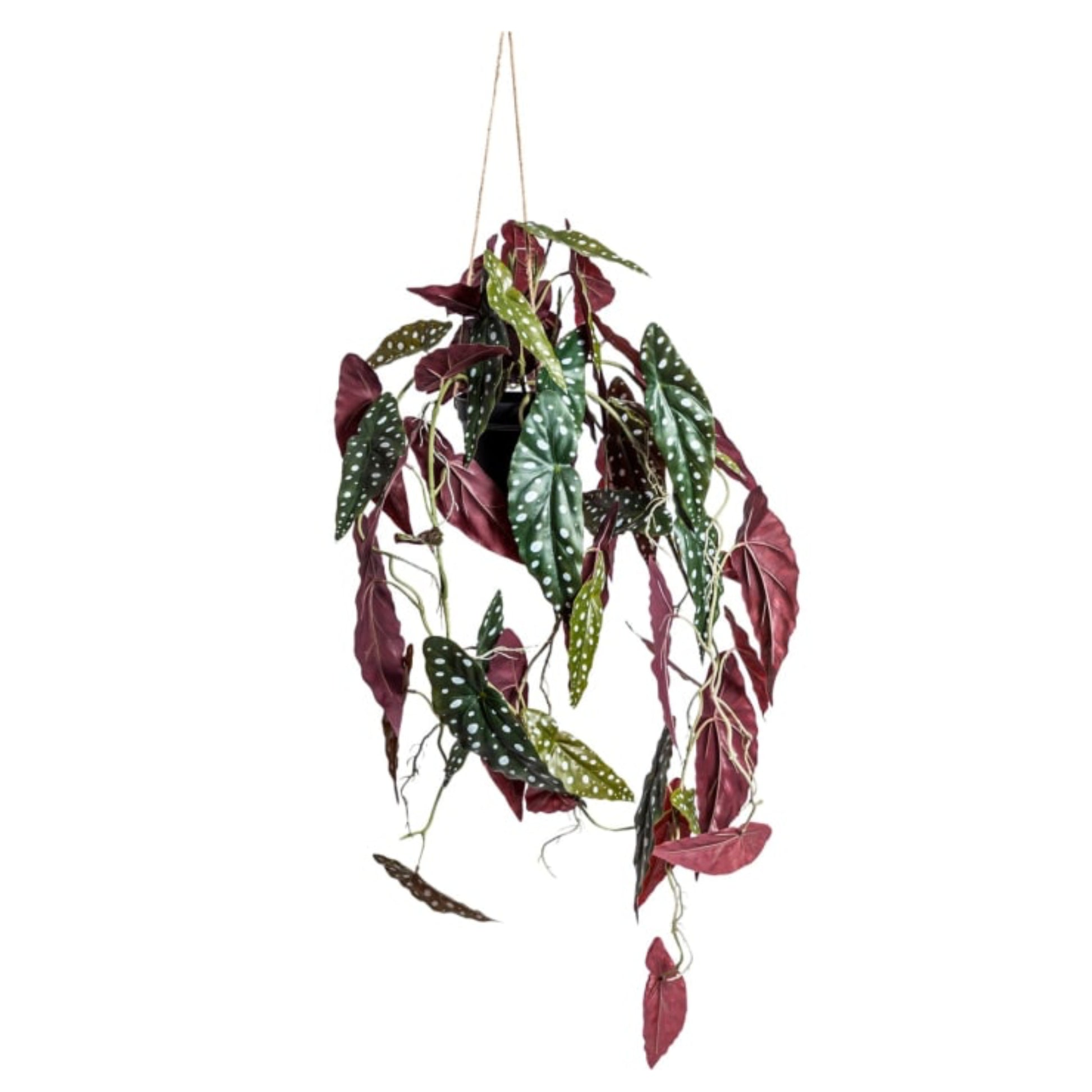 Hanging artificial plant with green and red leaves on a white background