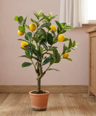Potted lemon tree with fruits on a wooden floor next to a wooden cabinet.