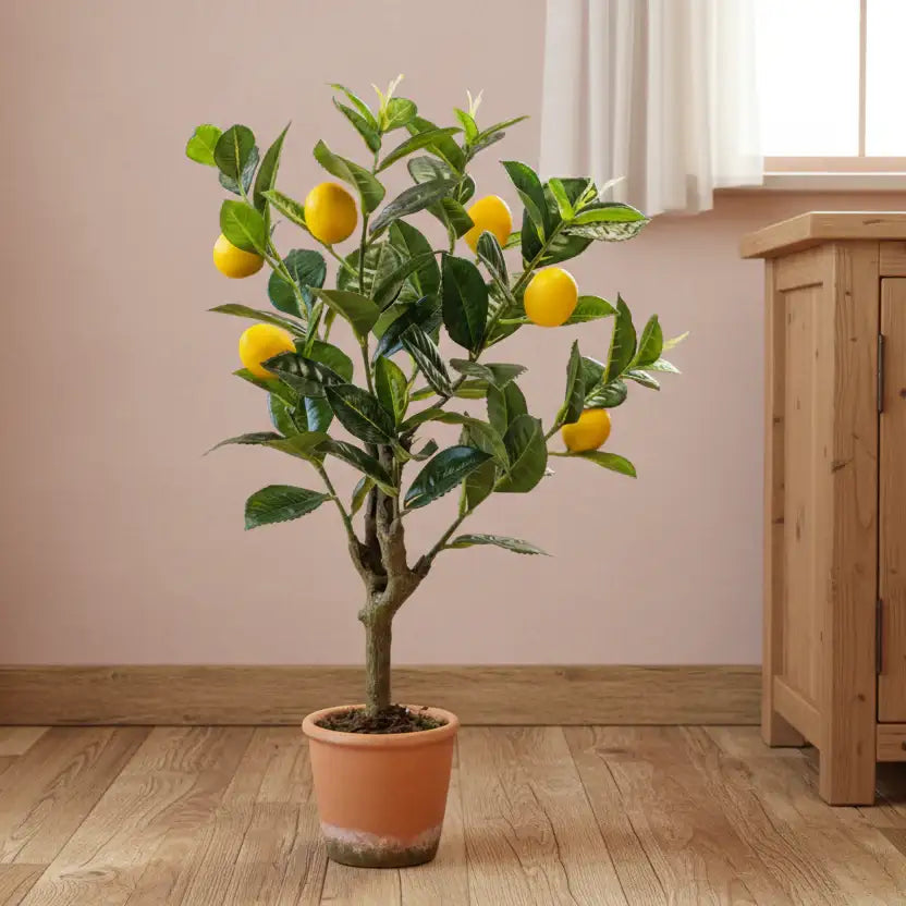 Potted lemon tree with fruits on a wooden floor against a beige wall.