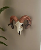 Decorative ram skull with large curved horns on a beige wall.