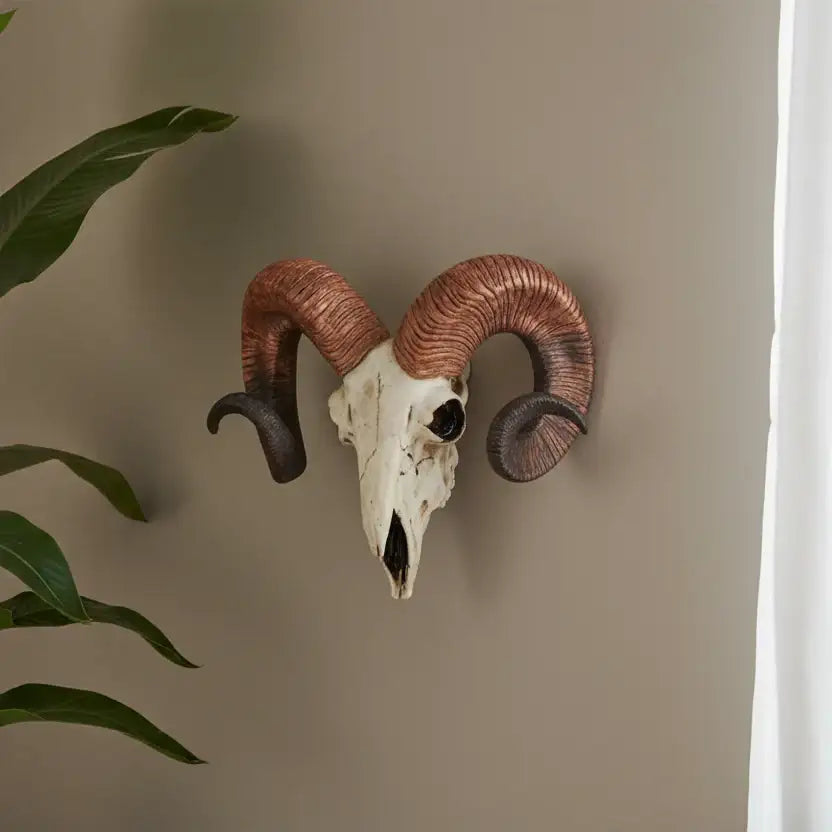 Decorative ram skull with large curved horns on a beige wall.