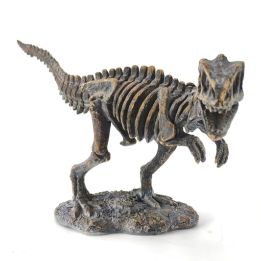 Dinosaur skeleton model on a white background