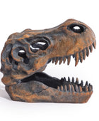 Dinosaur skull model on a white background