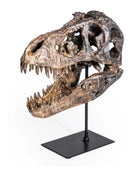 Dinosaur skull on a stand against a white background
