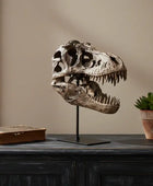 Faux T-Rex Fossil Head on Stand 3