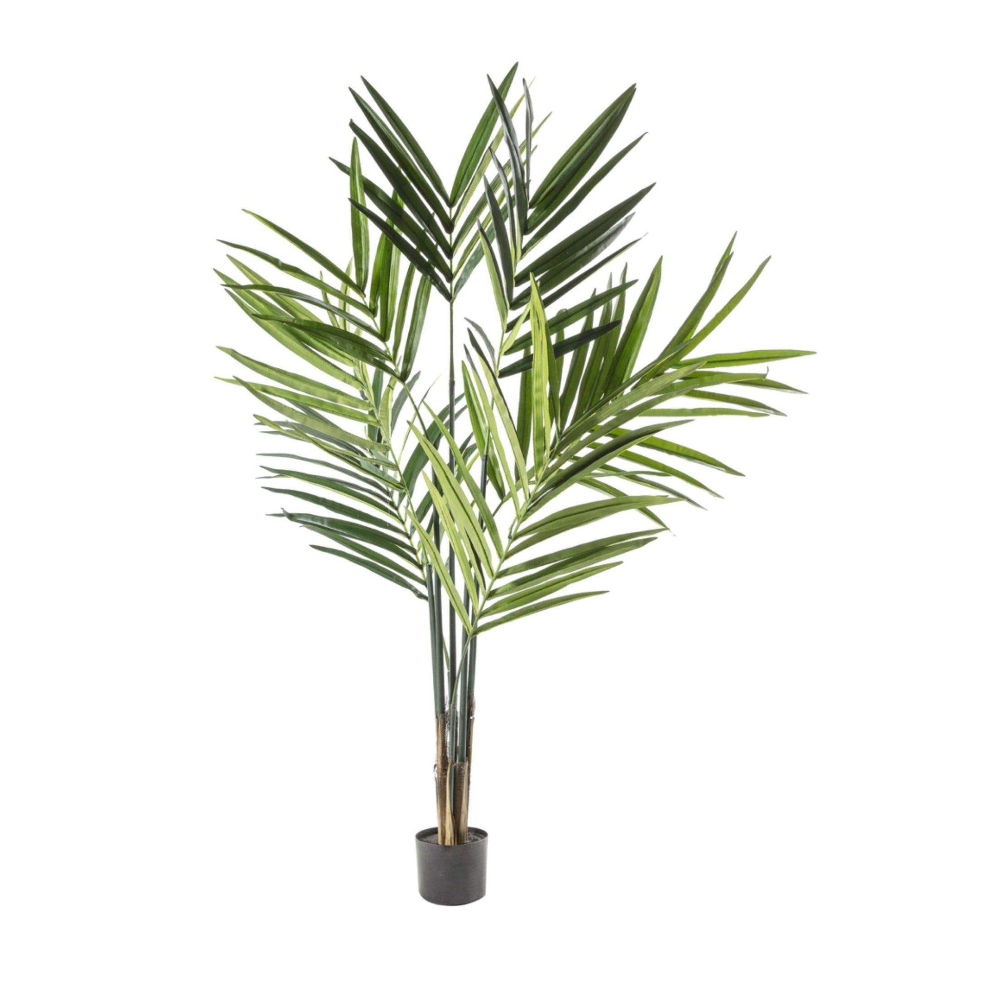 Faux Tall Kentia Palm Plant - The Farthing