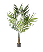 Faux Tall Kentia Palm Plant - The Farthing