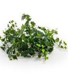 Artificial green ivy leaves on a white background