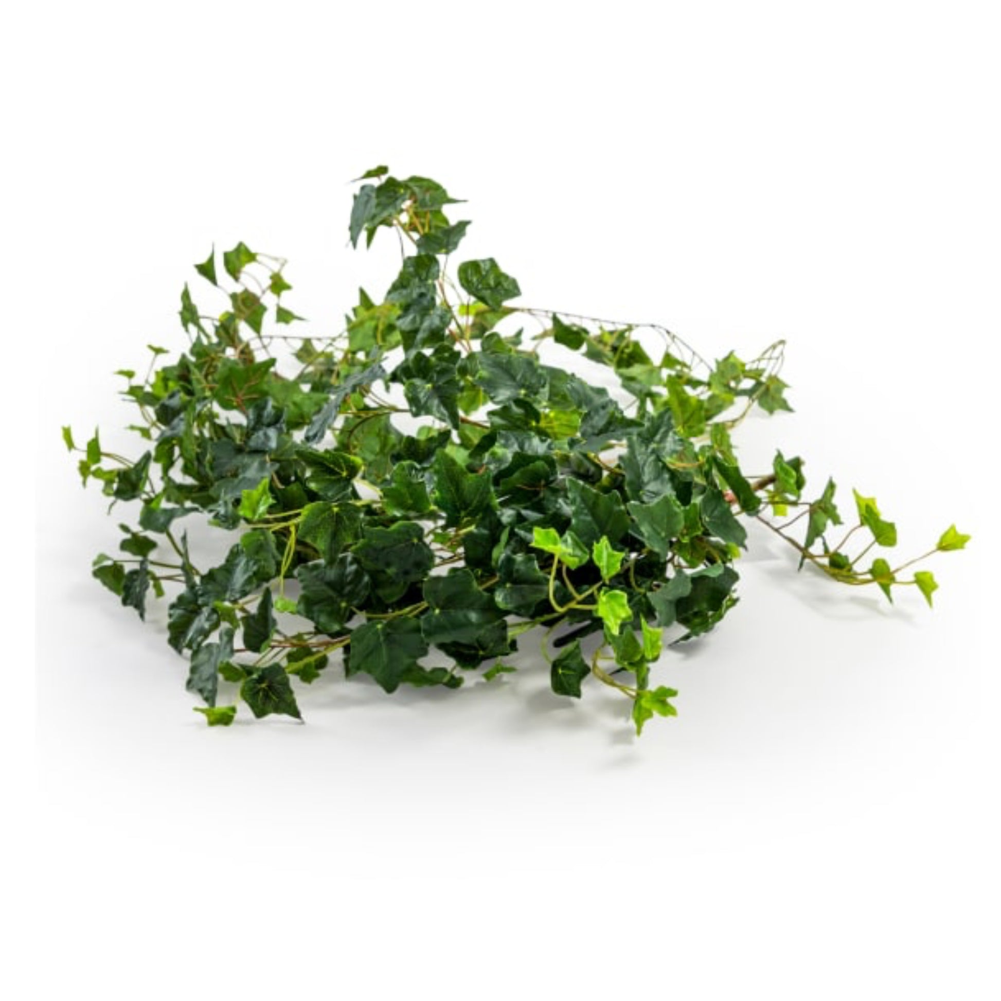 Artificial green ivy leaves on a white background