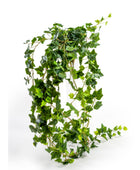 Artificial green ivy leaf garland on a white background