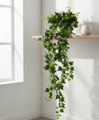 Artificial ivy plant hanging on a white wall with a window in the background