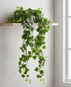 Artificial ivy plant on a wooden shelf against a white wall with a window.